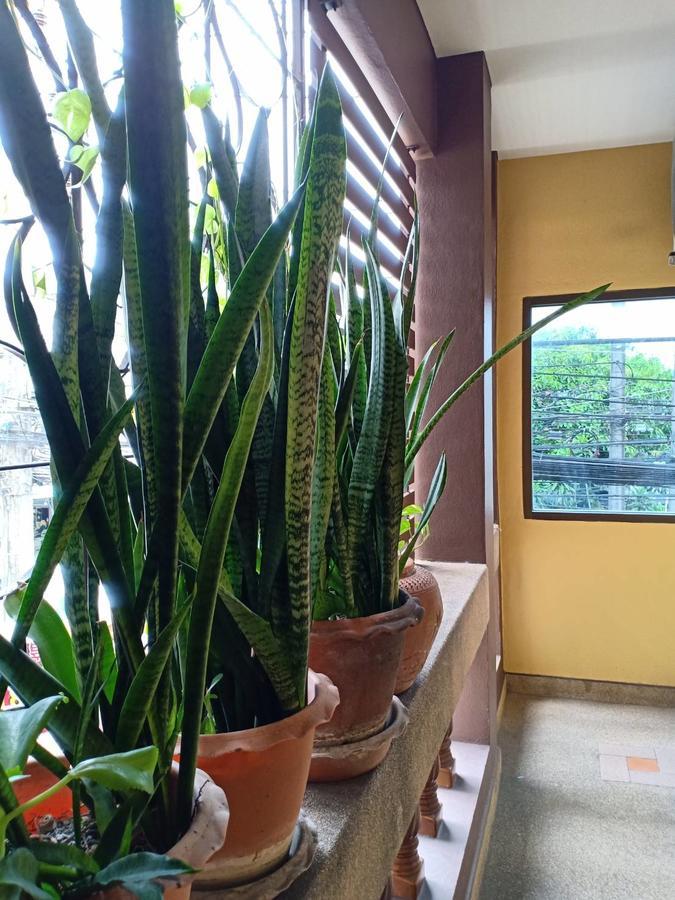 Хостел Kookkai House Patong Экстерьер фото